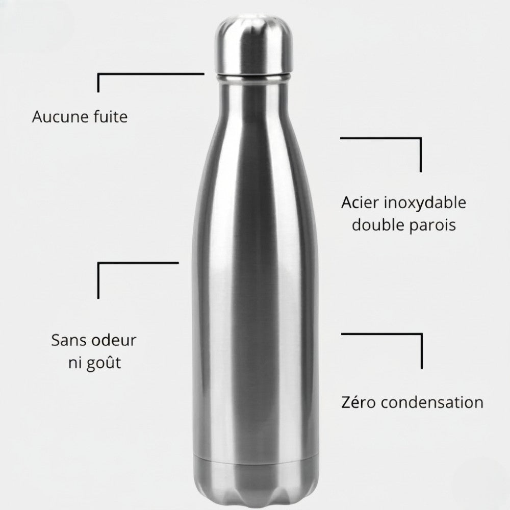 Gourde Isotherme Argent - 6H