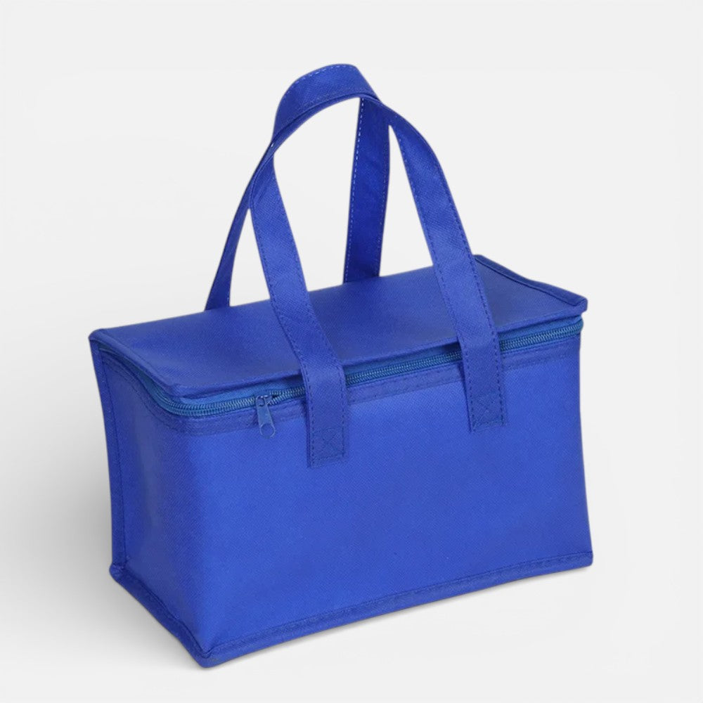 Glacière Souple Pique Nique de Couleur